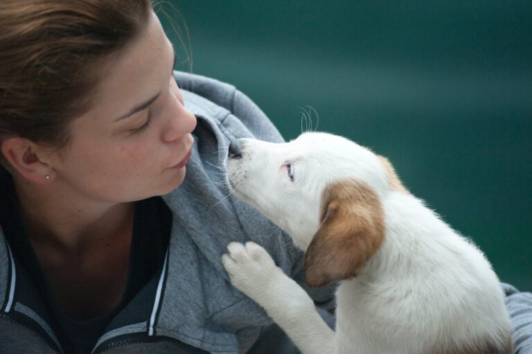 Onlinemarketing für Tierärzte Tierärztin mit Hundewelpe