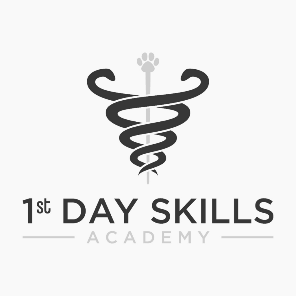 1stday Skills Logo