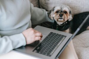 Hund sitzt neben Laptop