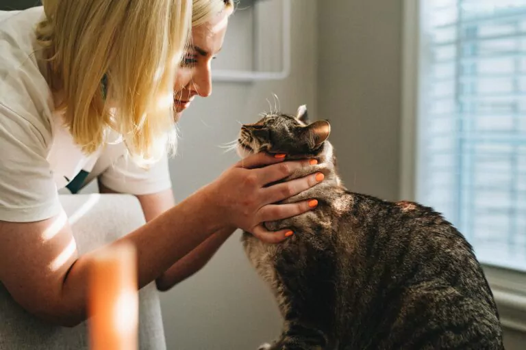 Tierarzt Marketing - Tierärztin mit Katze